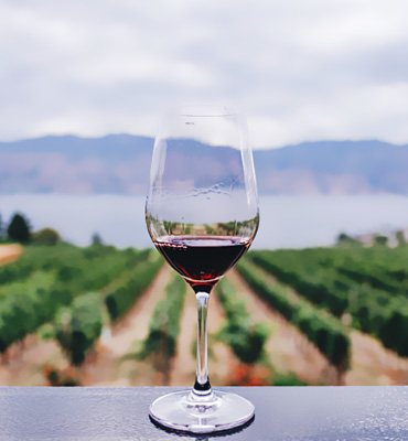 Wineries & Vineyards